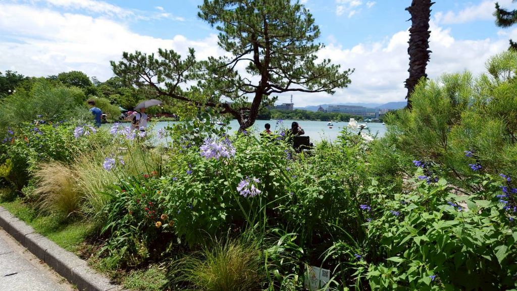 B花壇のアガパンサスと湖畔の景観