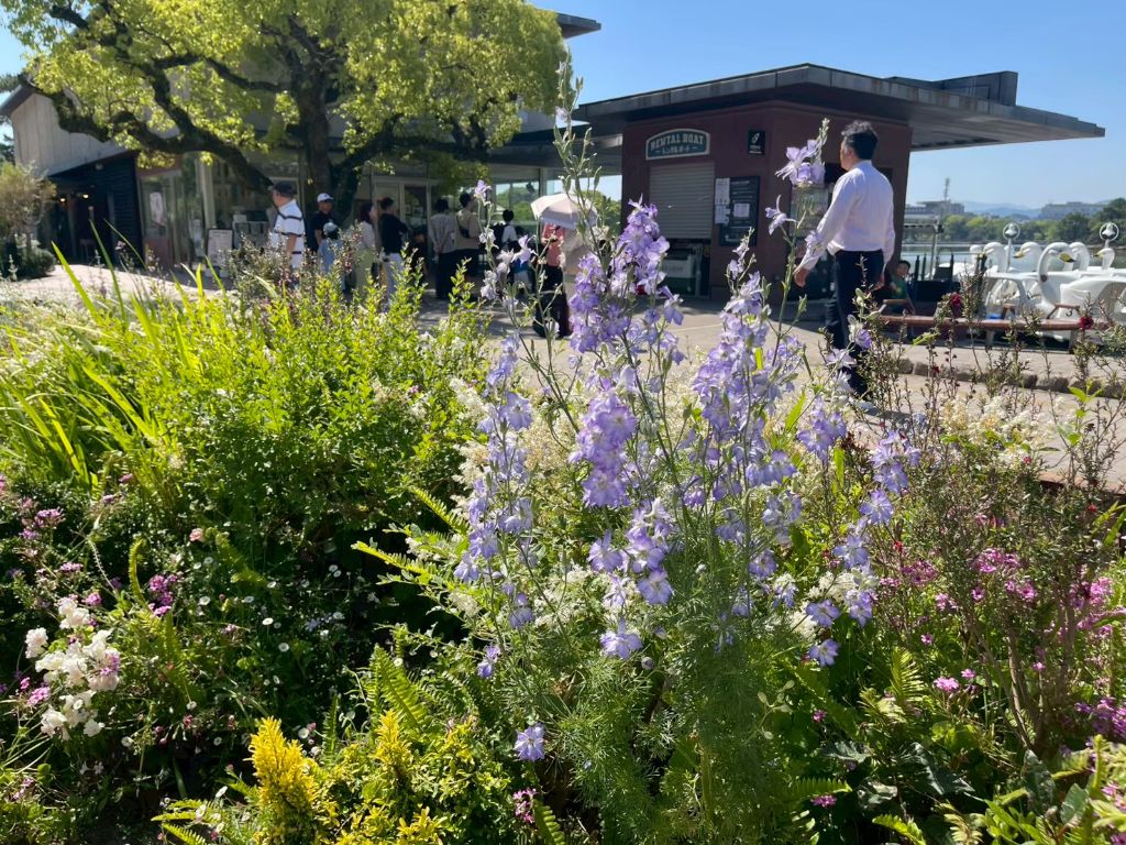 大濠公園ボートハウス前花壇の風景
