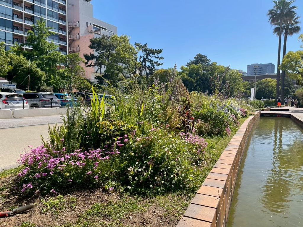大濠公園の水路沿いの花壇