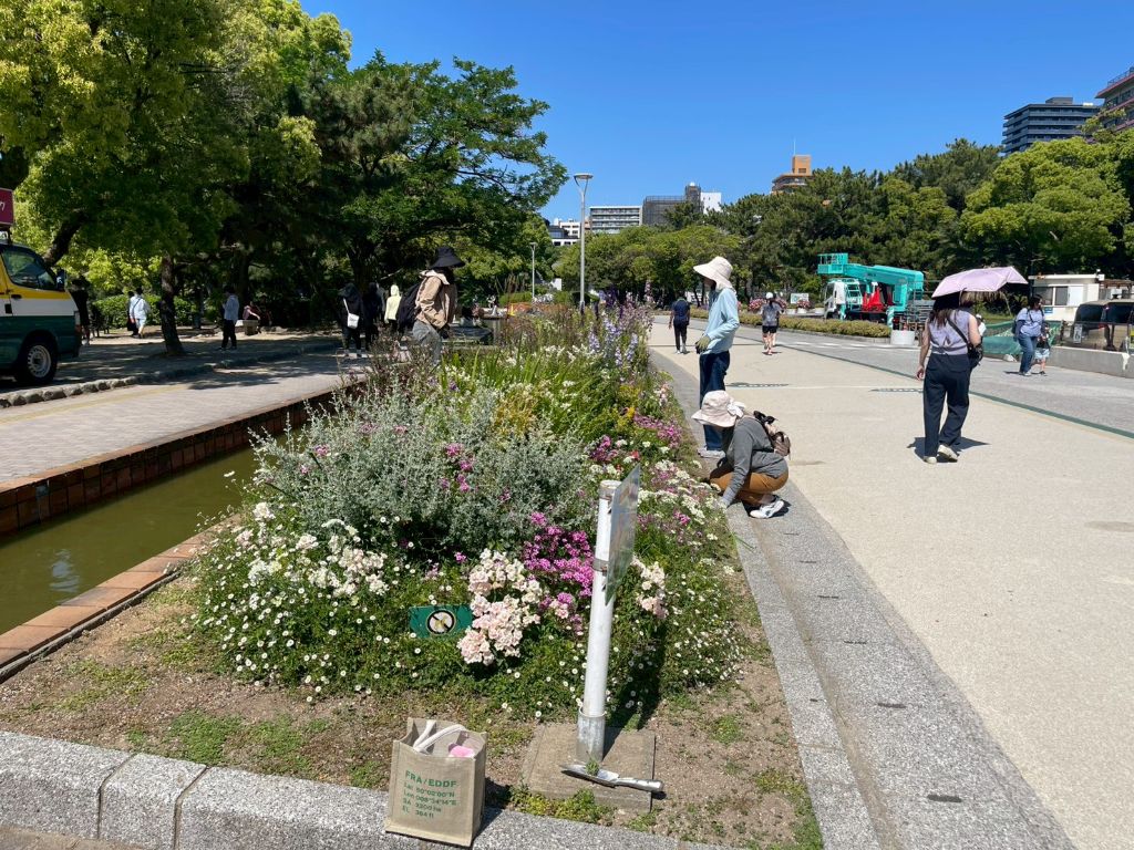 E花壇の白とピンクのバラ