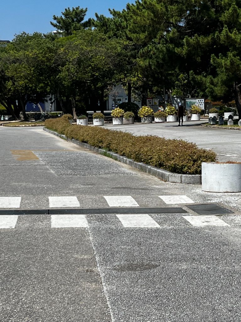 G花壇のプリペットの生垣と駐車場前の景観