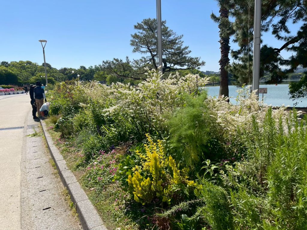 大濠公園の園路と花壇
