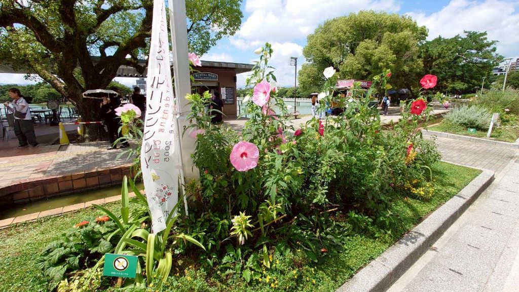 ピンクのハイビスカスと旗のある花壇
